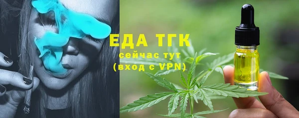 хмурый Вяземский