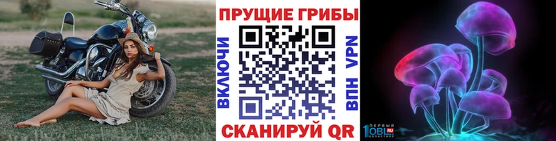 Псилоцибиновые грибы MAGIC MUSHROOMS Калач